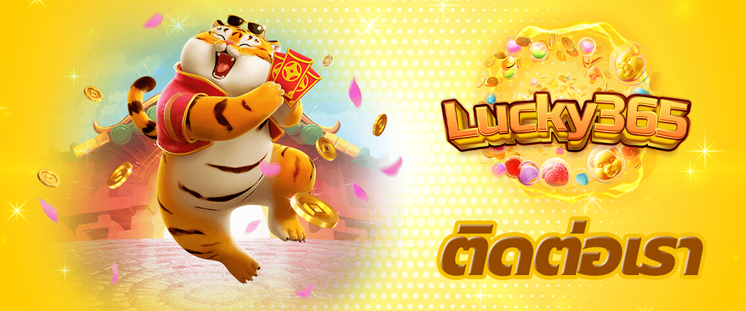 ติดต่อเรา