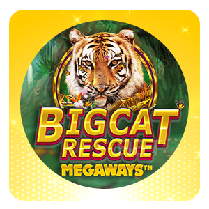 Big Cat Rescue Megaways